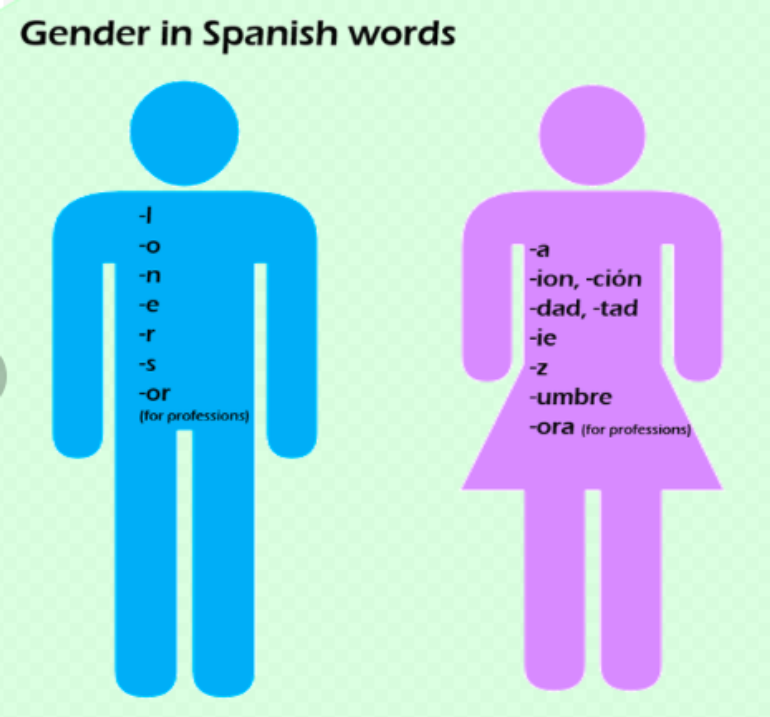 GENDER OF NOUNS: PART II GENDER OF NOUNS: PART II